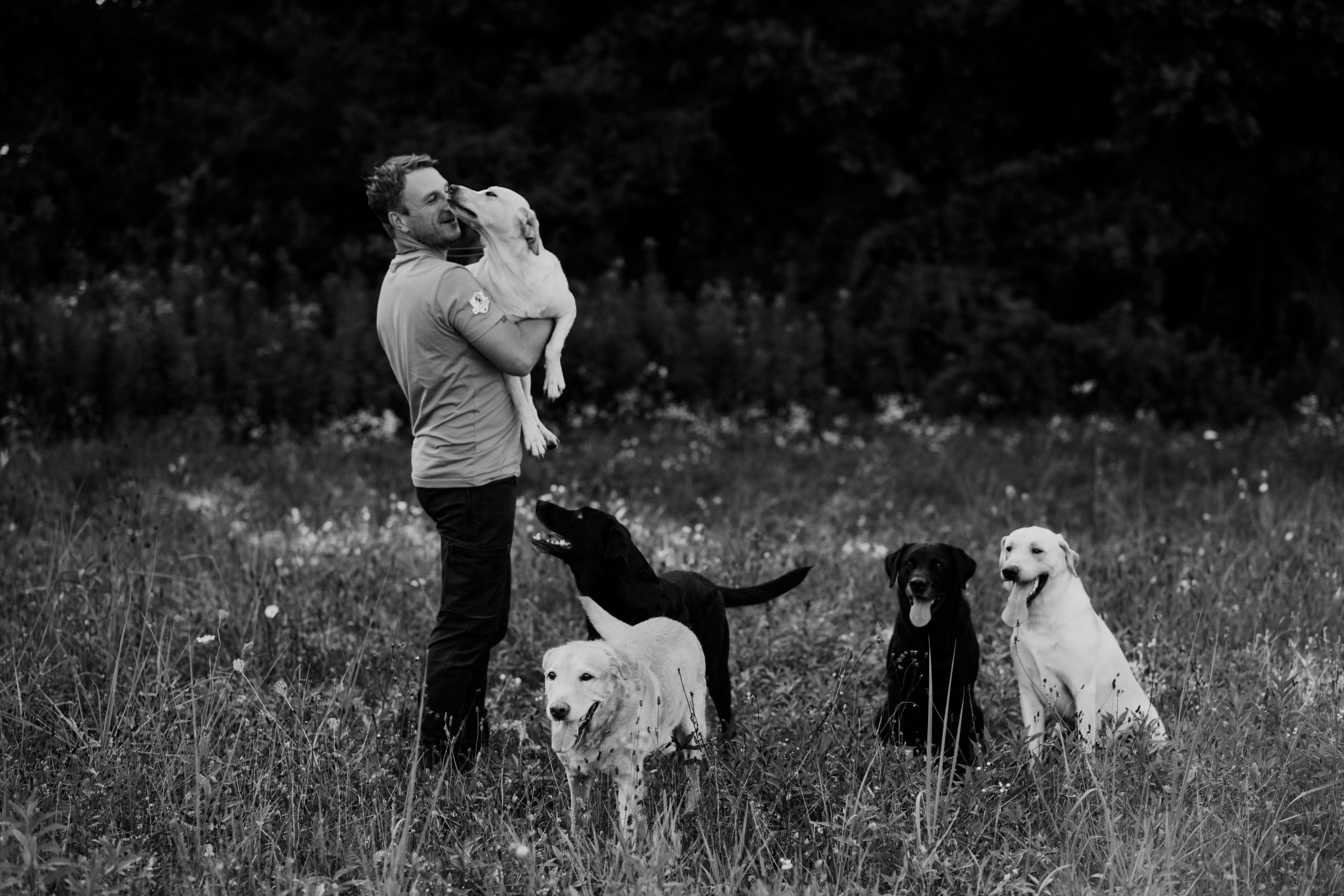 Philipp Birchbauer Millsgang Gundogs Labrador Retriever Arbeitslinie Zucht Österreich Steiermark