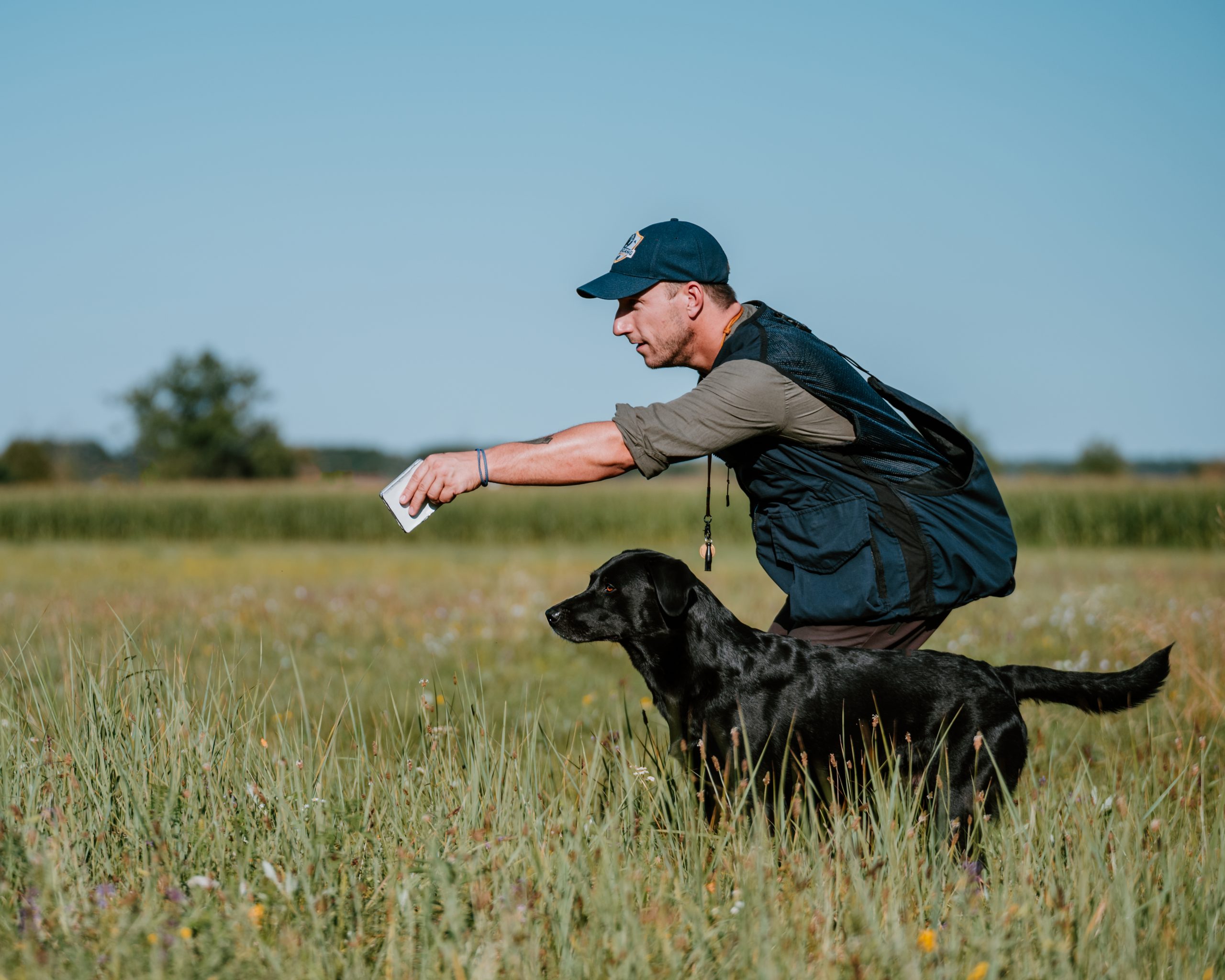 Philipp Birchbauer Millsgang Gundogs Working Labrador Retriever Arbeitslinie Field Trial Open