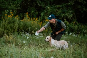 Philipp Birchbauer Millsgang Gundogs Working Labrador Retriever Jersey Girl Elea of Millsgang