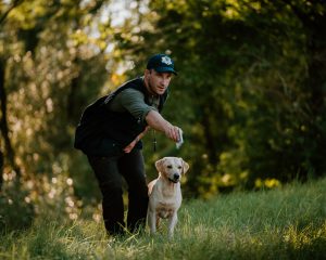 Philipp Birchbauer Millsgang Gundogs Labrador Retriever Arbeitslinie