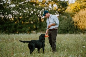 Philipp Birchbauer Millsgang Gundogs Working Labrador Retriever Arbeitslinie Dummy-Abgabe Delivery