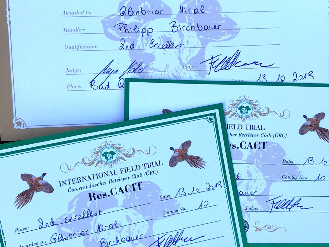 Res.CACIT Field Trial Philipp Birchbauer Hunter 2nd place excellent 2019